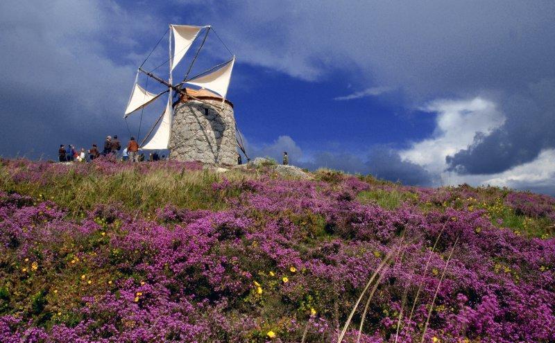 Casa De Campo Sossego Da Lata Fafe Eksteriør billede