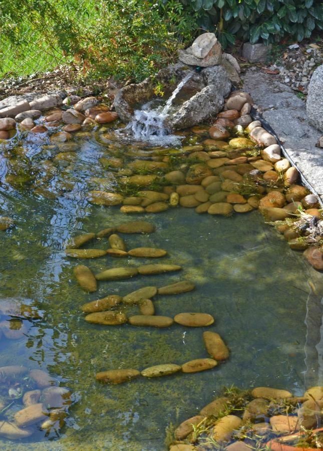 Casa De Campo Sossego Da Lata Fafe Eksteriør billede